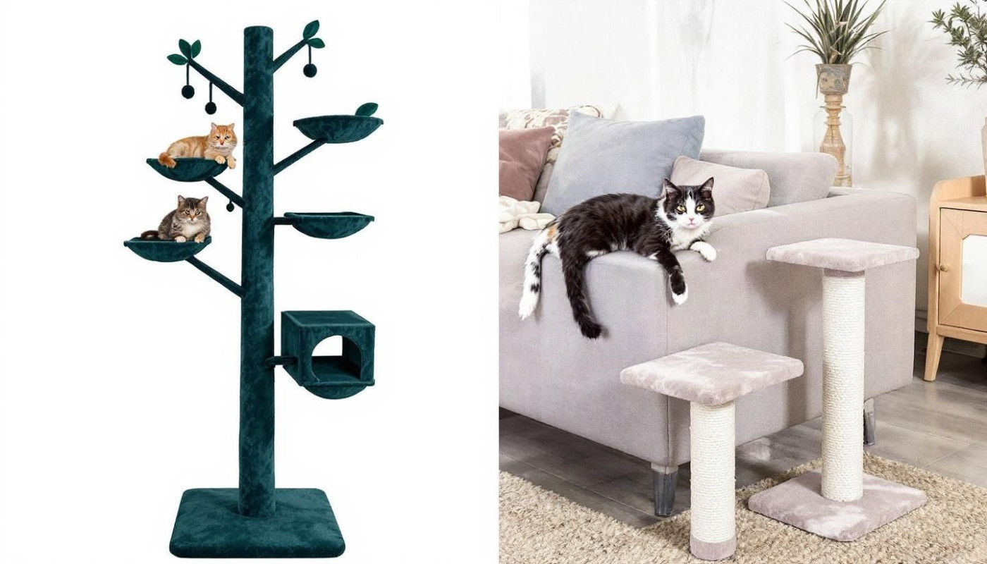 Wie wählt man den perfekten Kratzbaum für verschiedene Katzentypen?